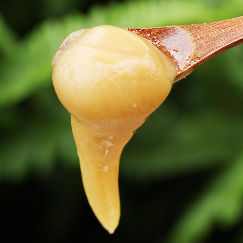 纯正土蜂蜜云南罗平哀牢山深山野生百花蜜天然土蜂蜜980g