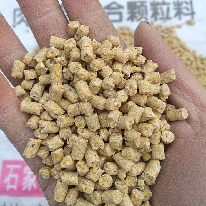 饲料大型鸽粮鸽子斑鸠鹦鹉鹩哥八哥孔雀5斤全价料