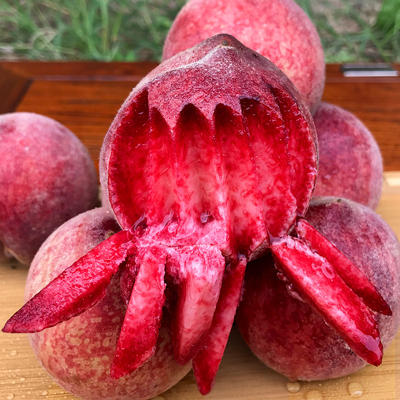 水果应季5斤孩子孕妇桃子桃水鲜血现摘新鲜血桃