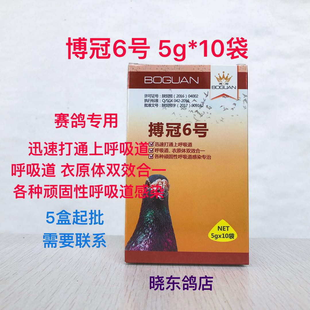 博冠冠鸽搏冠6号鸽子信鸽药品赛鸽呼吸道衣原医疗用品