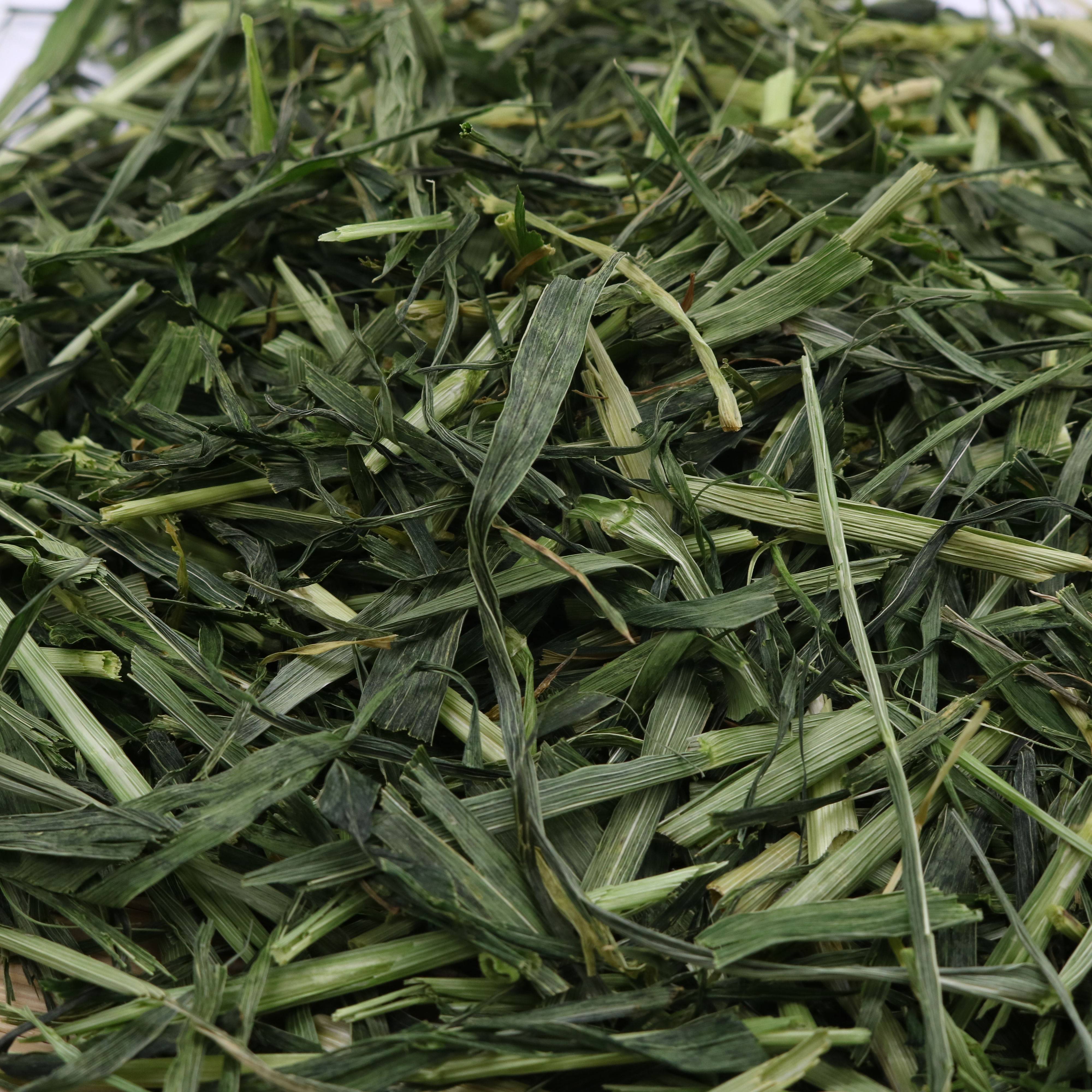 2020优质大麦草段 500g 兔子豚鼠龙猫牧草兔粮富含粗纤维 3件包邮