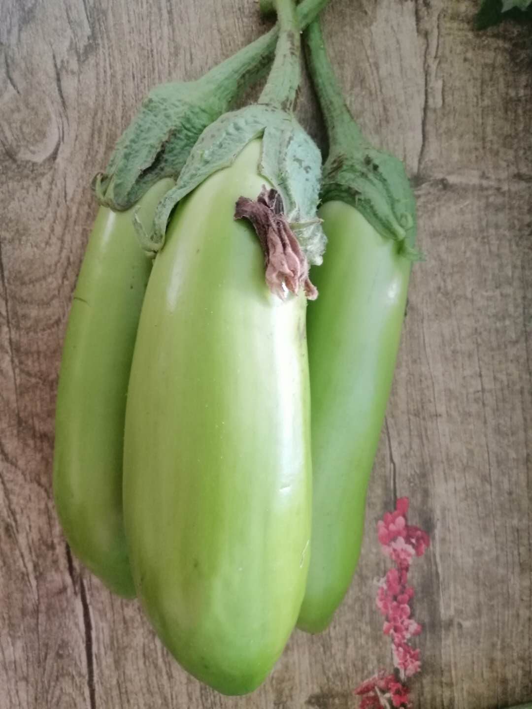 茄子东北农家自种绿茄子蔬菜绿皮新鲜青皮生吃其它