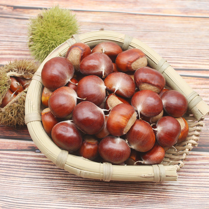 湖北罗田板栗2018新鲜板栗甘栗油栗毛栗栗子即食生板栗500g
