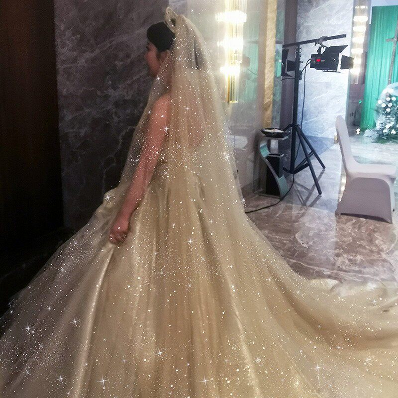 头纱新娘主婚婚纱超长拖尾5米白色香槟色星空头纱