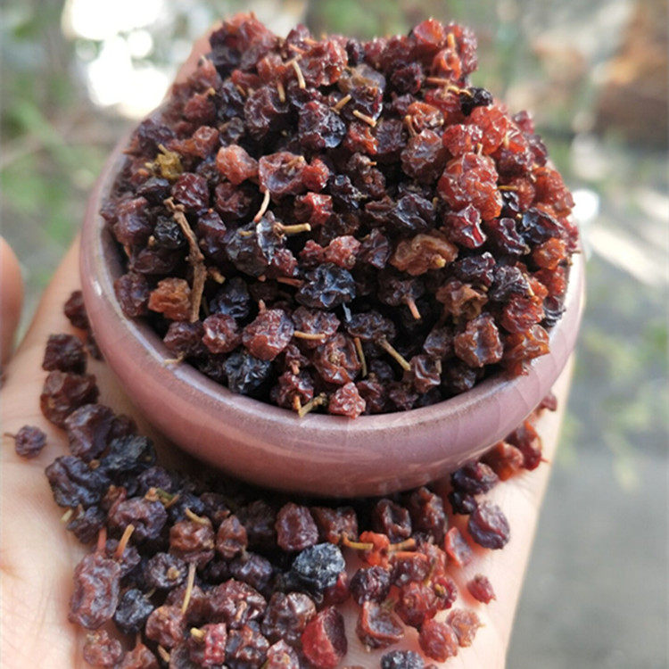 葡萄干梭梭新疆野生500克小葡萄吐鲁番索索柴野包邮其他药食同源食品