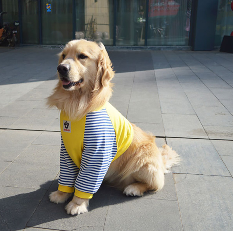 关节大狗四季通用服保护肘衣服金毛拉布拉多保护宠物服装