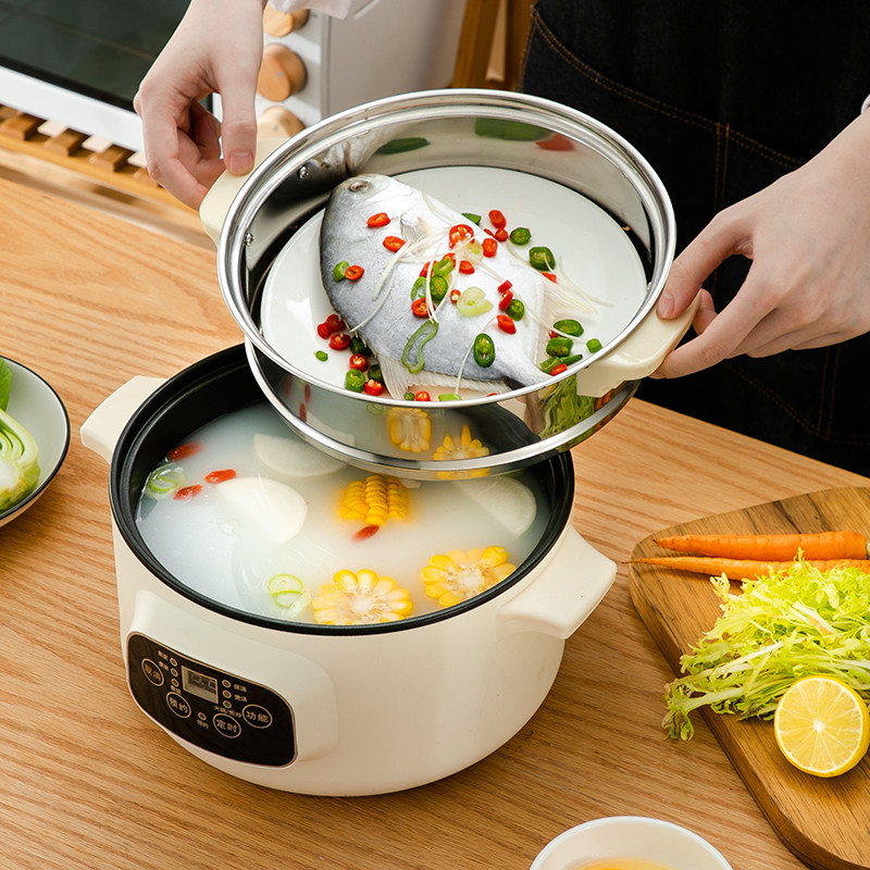 煮粥小锅家用煲汤汤锅小型快速煲粥神器熬汤电炖锅