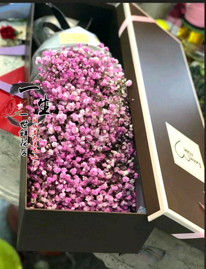 曲靖鲜花店速递粉色满天星鲜花花束礼盒闺蜜生日鲜花速递同城