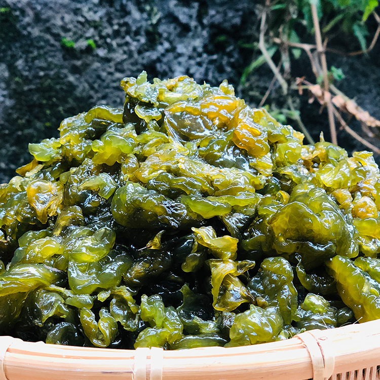 地皮菜新鲜野生湿地衣非免洗地耳净菜雷公菌地踏菇天仙菜500g包邮