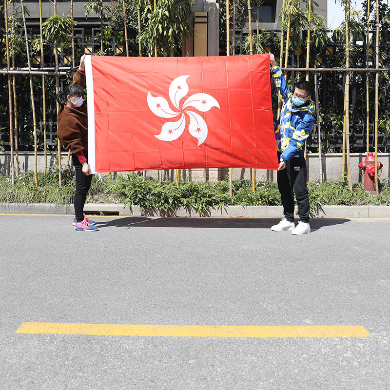 旗帜香港三号区旗紫荆花特区户外3号128cm定制旗帜