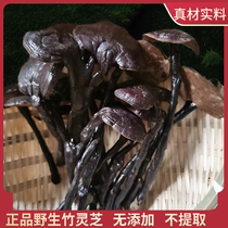 Wild Bamboo Lingzhi Special Class Natural Dry Goods Whole 250g Boiled Water Pot Soup for Old Age Nourishing Choice