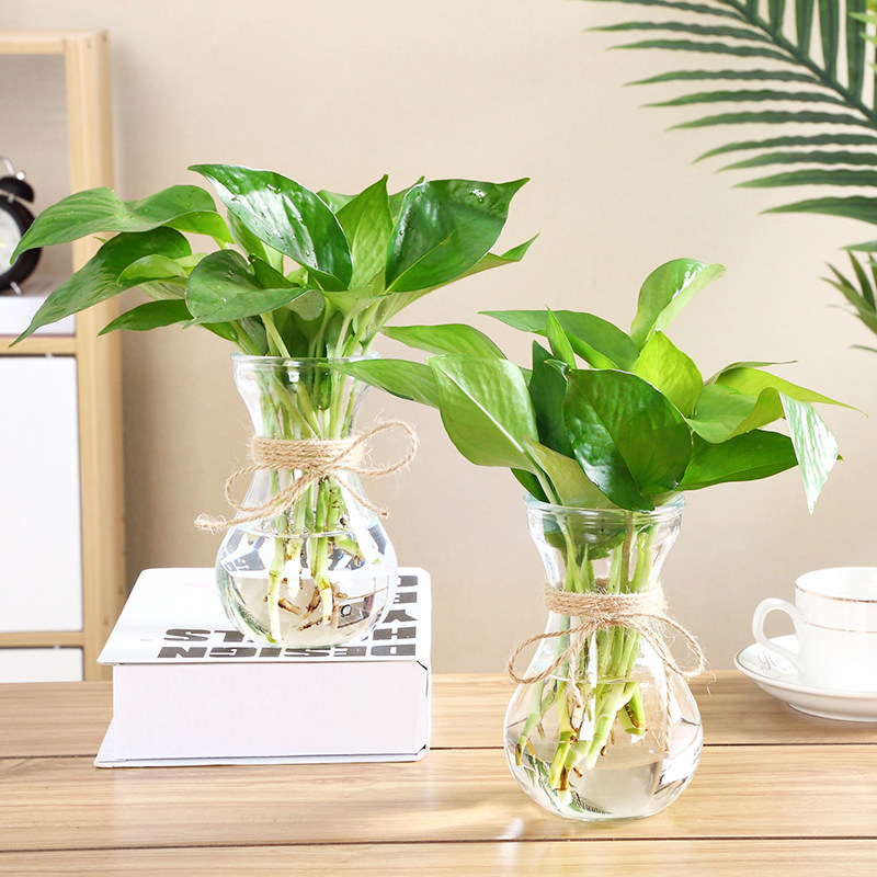 欧式玻璃花瓶水培植物绿萝容器养花透明瓶子水生水养花卉器皿