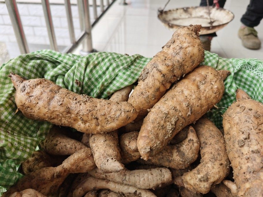 陕西特产秦岭高山天麻现挖特级冬麻野生种植天麻