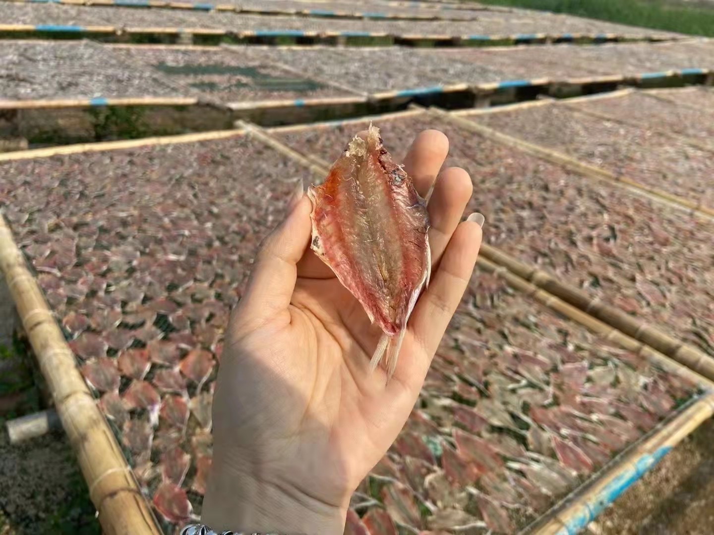 潮汕本港红娘鱼干渔民自晒淡干红鱼干开片去头鱼干