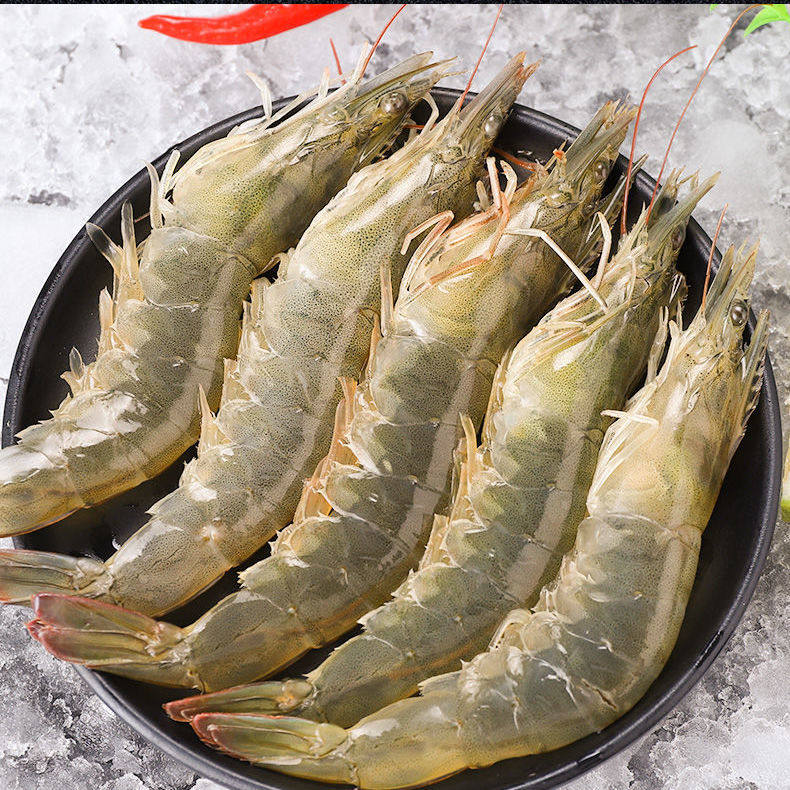 大虾当天天海新鲜冷冻水产深海青岛鲜活青虾冻虾