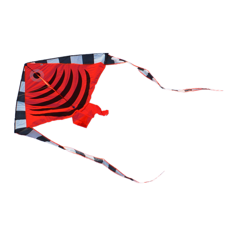 风筝热带鱼燕鱼神仙仙鱼现代好飞成人新手初学者风筝