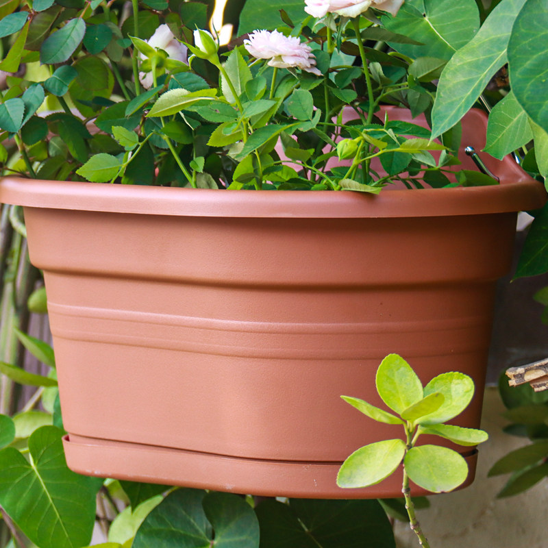 花盆环球霍伦盆树脂椭圆形壁挂吊盆挂钩种花种菜花盆