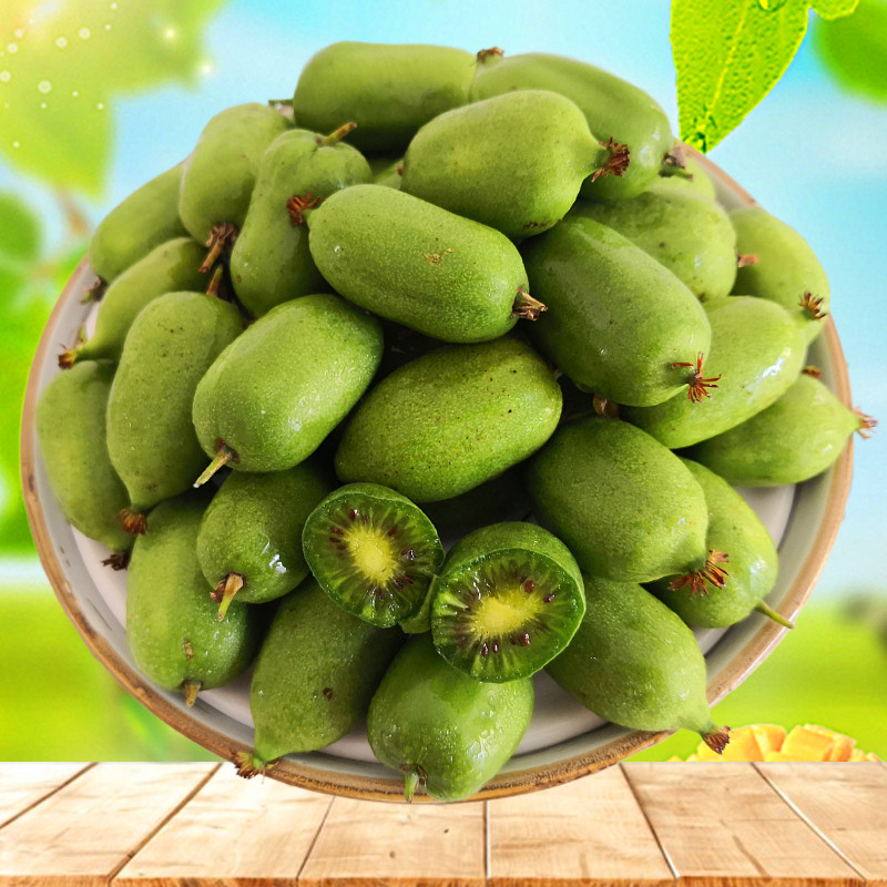 水果丹东特产软枣猕猴桃枣子圆枣奇异果新鲜孕妇奇异果