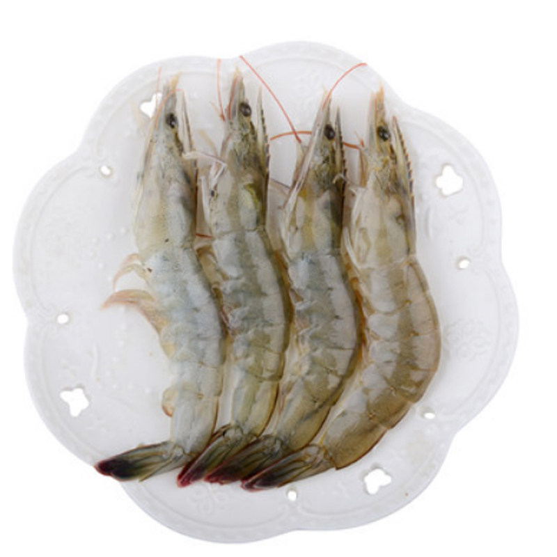 莱州湾海捕大对虾速冻青虾白虾冰活虾基尾40头活虾