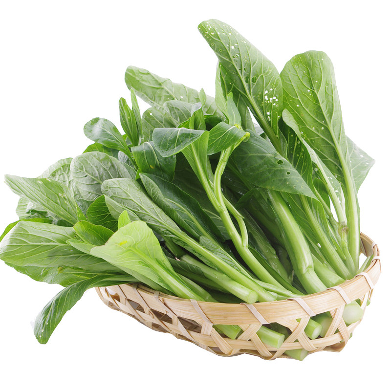 正源菜心王中王种子菜芯种籽苔菜绿苔菜芸苔甜家庭园艺种子
