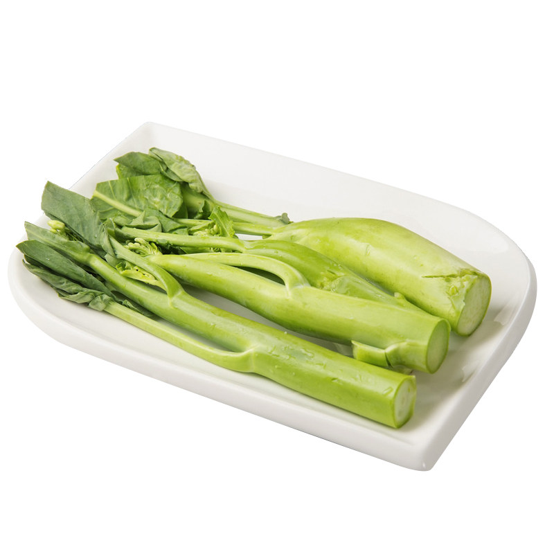 早熟四季大笋芥兰种子芥蓝种籽甜脆春夏秋冬阳台家庭园艺种子