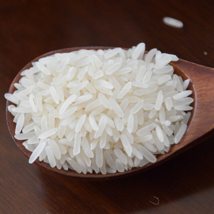 金凤凰正宗增城香丝苗米15kg香米新米煲仔饭专用米长粒米农家大米