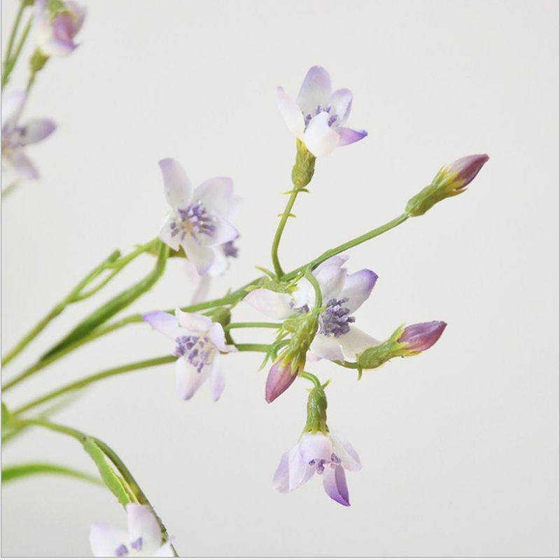 花材仿真韭莲线状高仿逼真豆苗型线莲科自然装饰仿真花