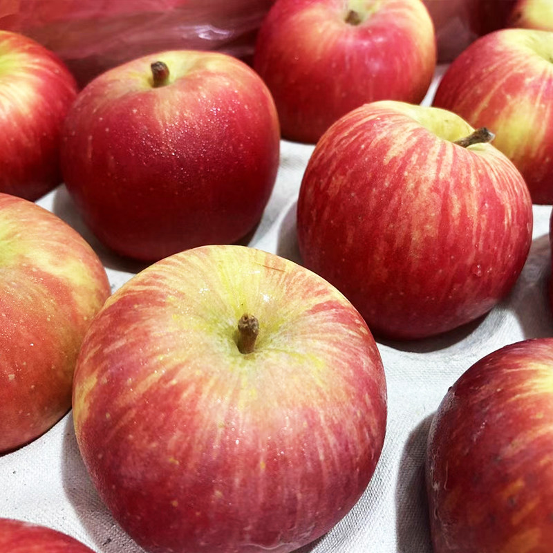 南非牛顿小苹果进口富士野生迷你苹果脆甜多汁苹果