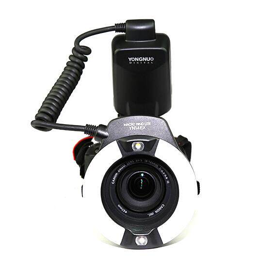 永诺花鸟补光拍照热靴外置外接闪光灯机相机闪光灯