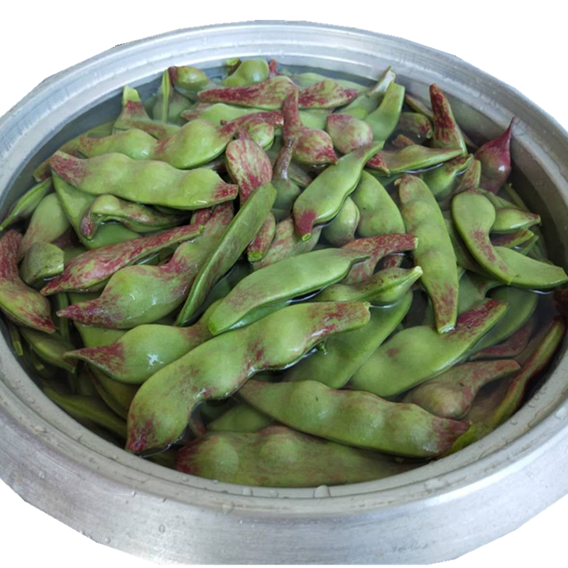 豆角东北吉林榆树紫花农家新鲜现摘开锅烂绿其它