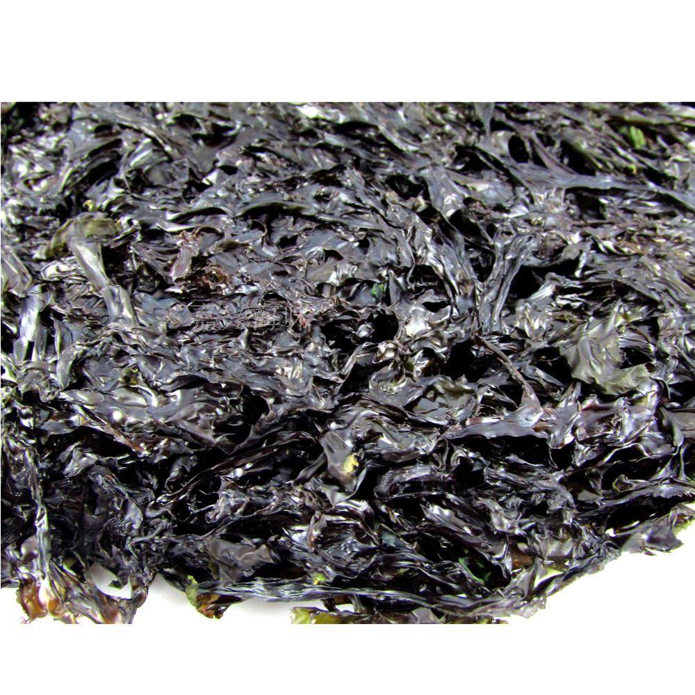 紫菜包邮南澳特产头水无沙免洗100g干货海带紫菜