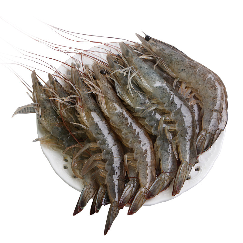 鲜活超大青岛大虾海捕基围虾冰冻虾