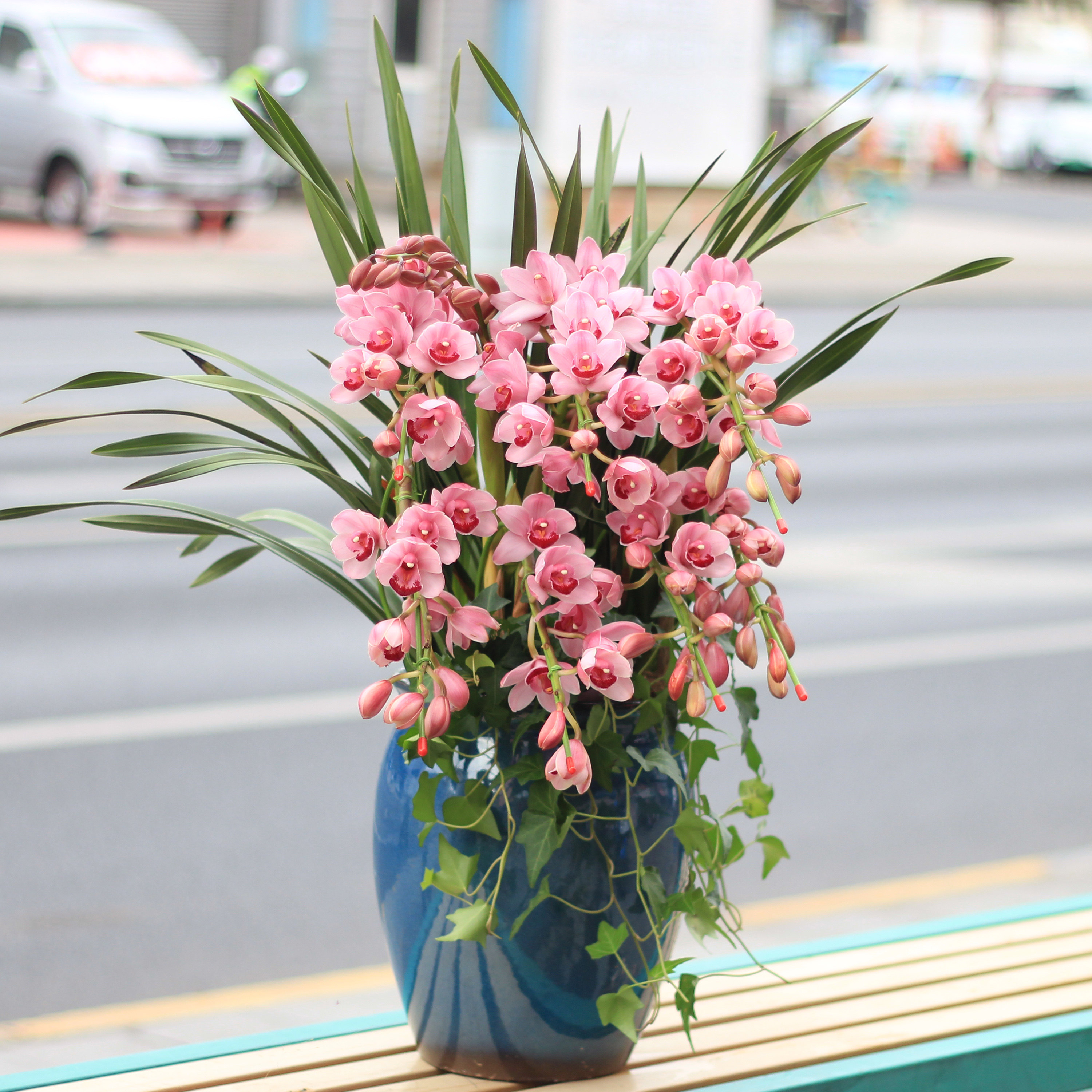 大花蕙兰拱兰室内盆栽精致礼品送礼年宵花