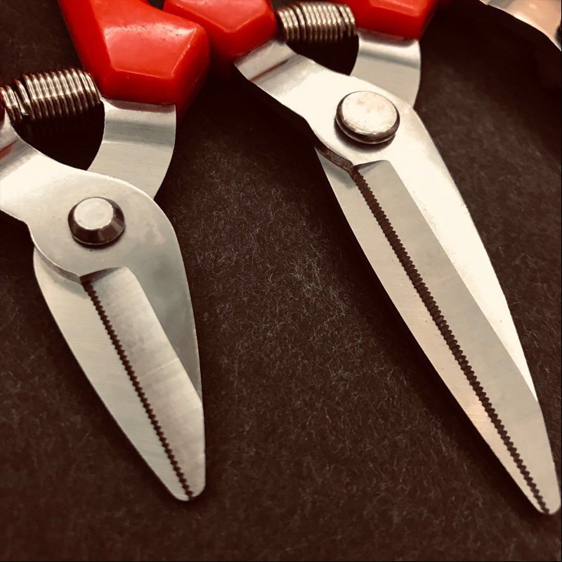 广西稀果剪刀剪枝刀剪沃柑砂糖橘子修芽火龙果园艺剪