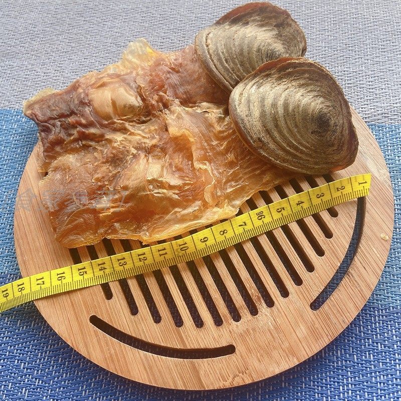 响螺片煲汤材料响螺进口大号带壳250g半斤香港海螺