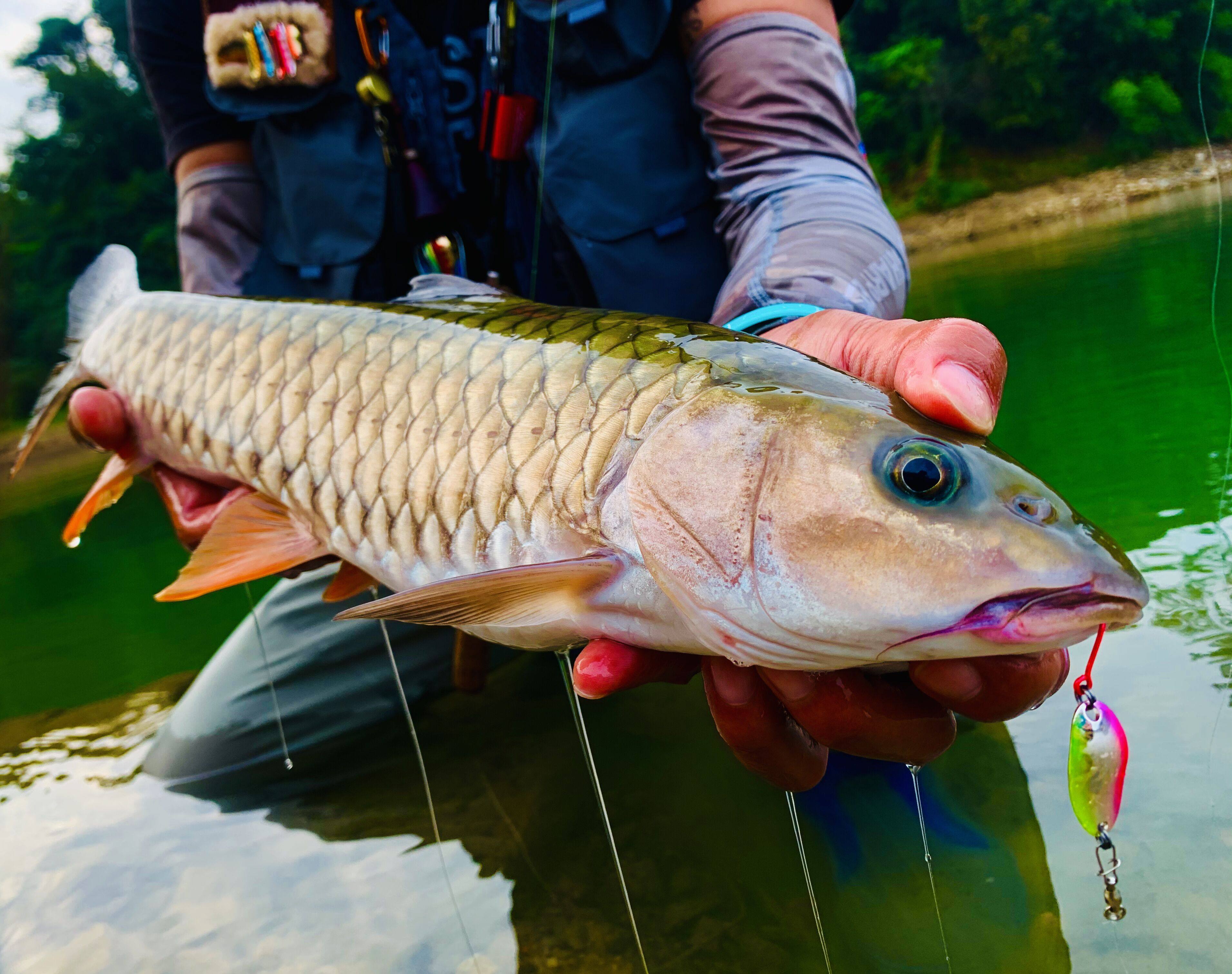 亮片捉妖功坊monsterhunter炫彩顽童溪流军鱼路亚活饵