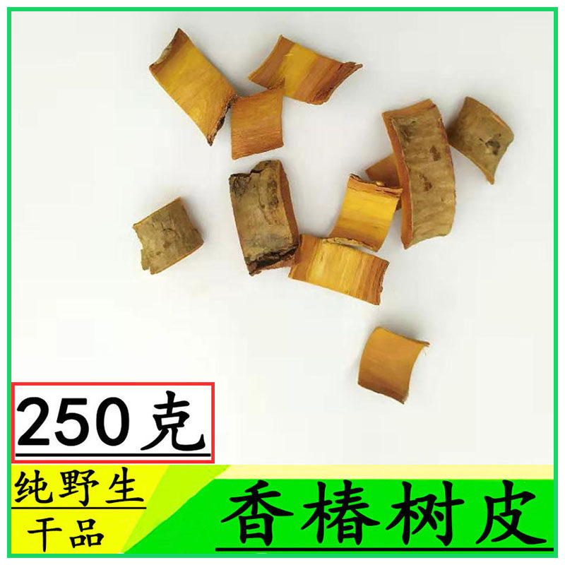 香椿树皮中药材【可采新鲜香椿皮】