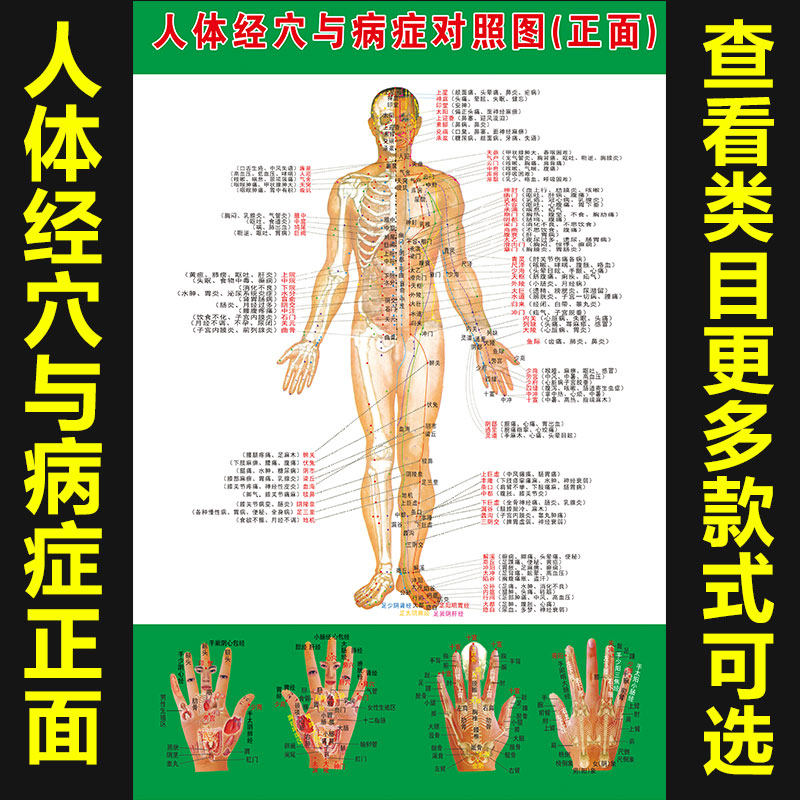 中医养生人体经络穴位图与病症对照图大挂图全身经络高清图1292