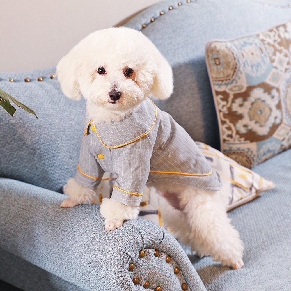 小狗狗狗衣服泰迪博美比熊小型宠物四脚冬装狗宠物服装