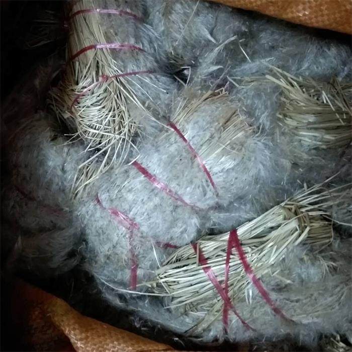 丝茅草花白茅草花茅草根花黄茅白茅花种子茅针花茅盔花菅花