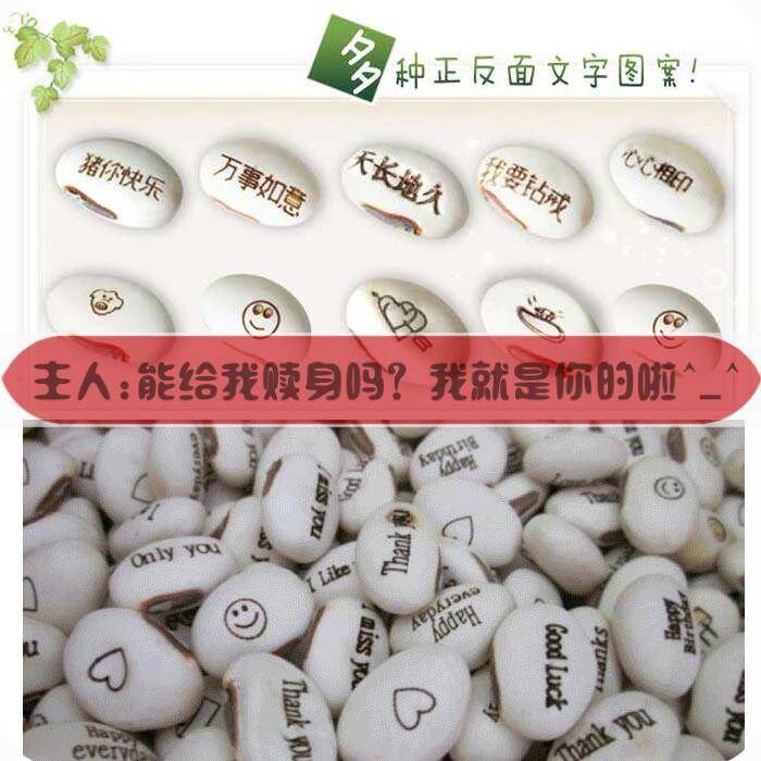 神奇刻字爱情魔豆种子创意祝福迷你植物带字印有字桌面种植小盆栽