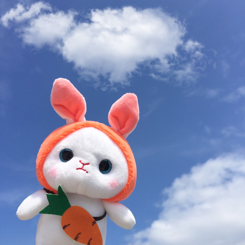 韩国ins网红小兔子玩偶书包挂件毛绒公仔钥匙扣包挂件