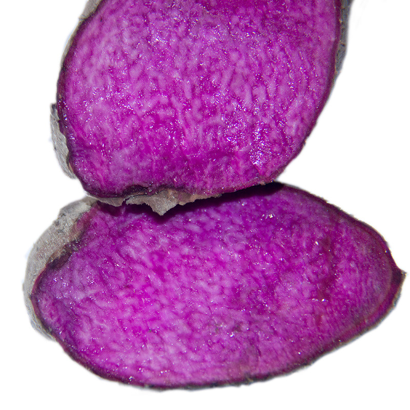 现挖新鲜山药脚板薯紫大薯毛江西赣南农家特产新鲜山药