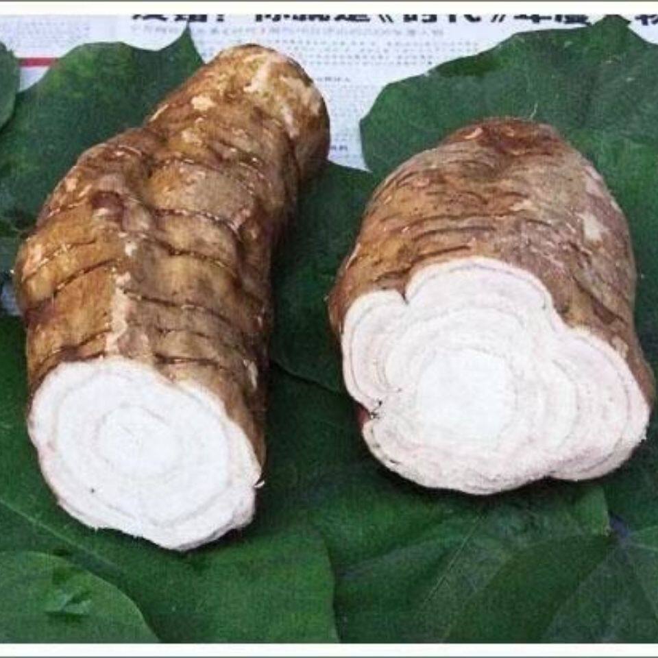 葛根江西现挖新鲜正宗粉嫩生吃无渣粉葛煲汤其它