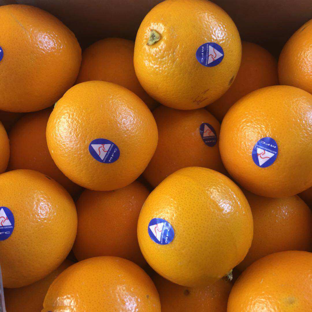 现货澳洲进口新奇士sunkist蓝标3107脐橙新鲜橙子橙