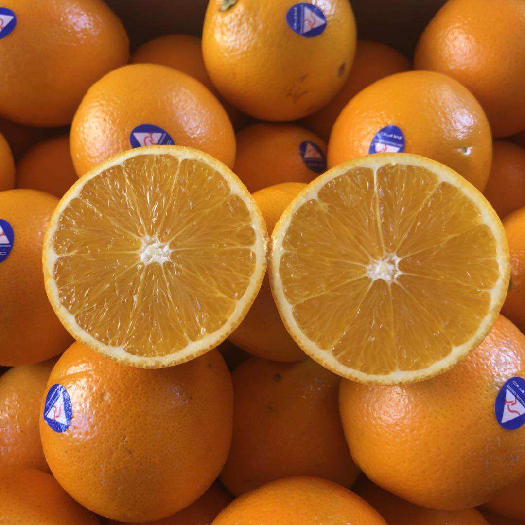 现货澳洲进口新奇士sunkist蓝标3107脐橙新鲜橙子橙