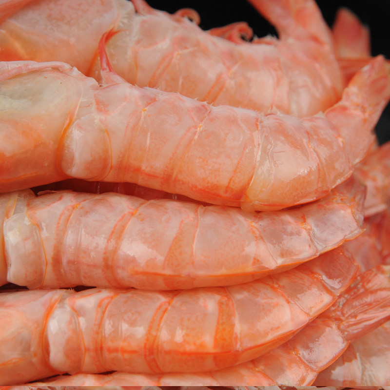 25-30头1斤舟山野生红头新鲜海大虾冰鲜冷冻海虾冻虾