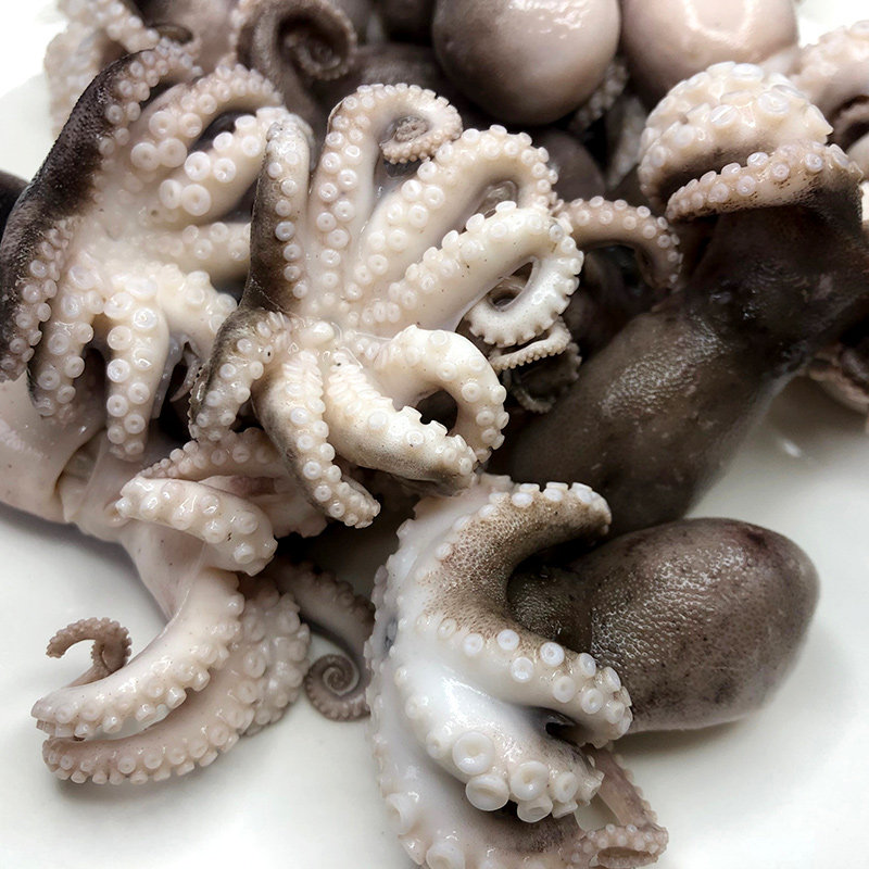 不缩缩水半熟八爪鱼鲜活急冻迷你章鱼头大海兔冷冻章鱼