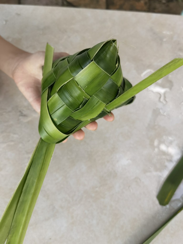 新鲜粽子子叶露兜叶林茶芦兜罗鼓仔山野菠萝菠萝树其他药食同源食品