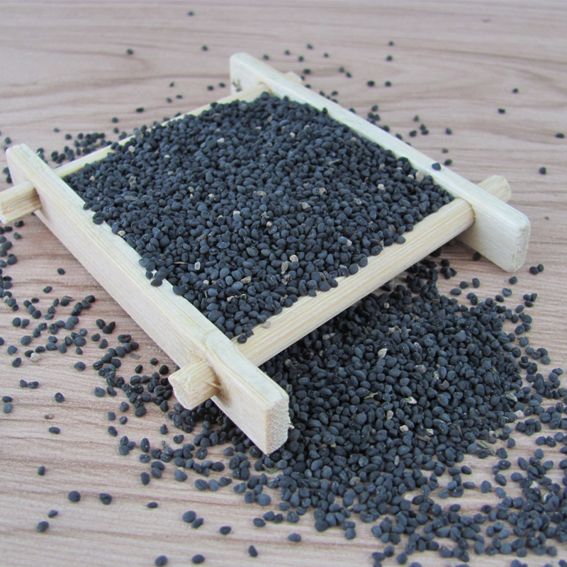 黄芩种子500g黄芪甘肃2020年党参黄芩